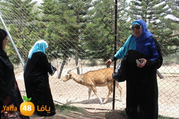 re7la mo2asaasa 0521 (12).JPG